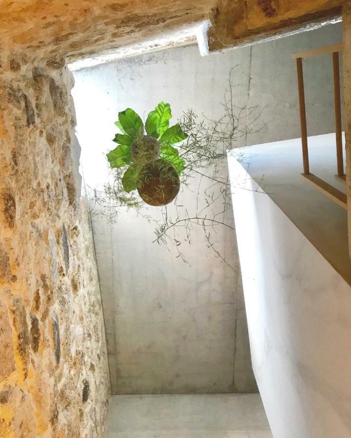Element Apartment Висеу Екстериор снимка